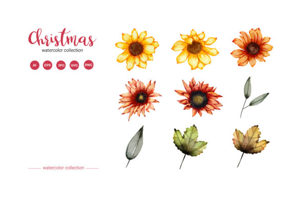 Christmas Watercolor Flower Set: A Versatile Graphics Tool